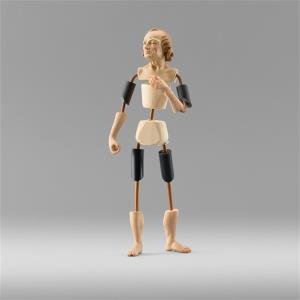 Shepherd for dressing 12