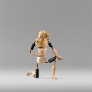 Shepherd for dressing 30W