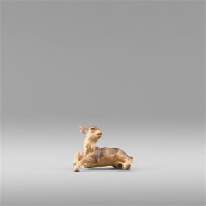 Capretto per braccio