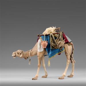 Dromedary with bags for King