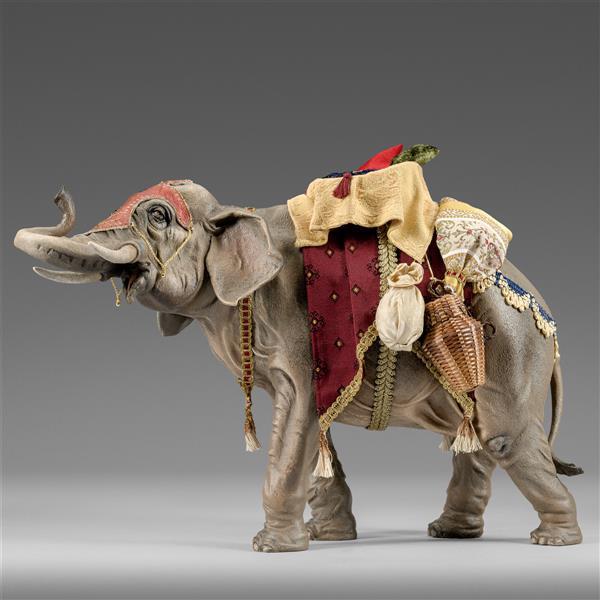 Elefant bepackt  - color