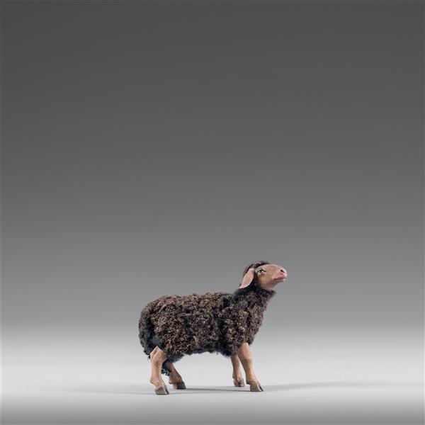 Schaf mit Wolle schwarz - color