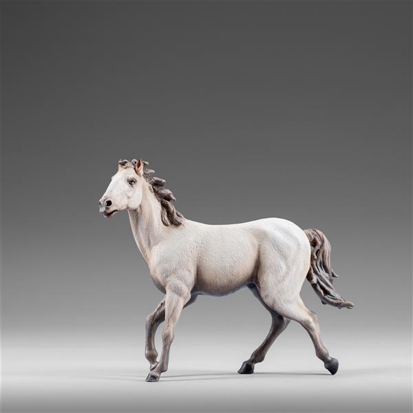 Pferd Weiss - color