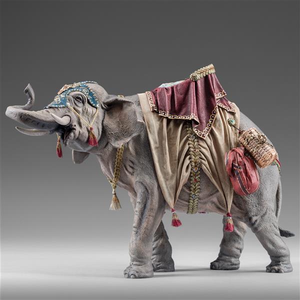 Elefant bepackt  - color