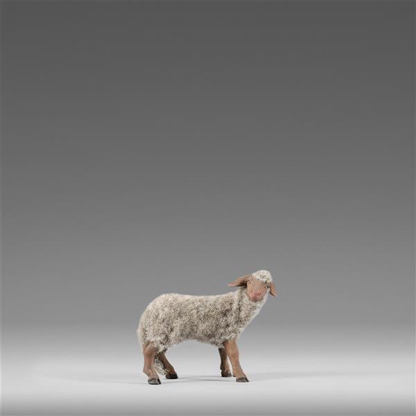 Schaf mit Wolle grau - color