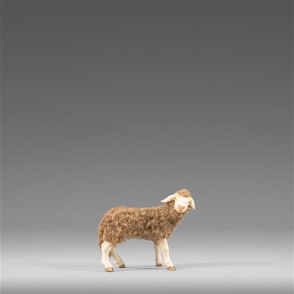 Schaf mit Wolle braun - color