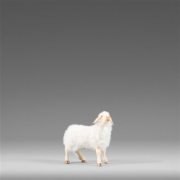 Schaf mit Wolle weiß - color