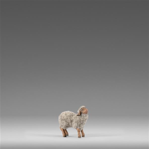 Lamm mit Wolle grau - color