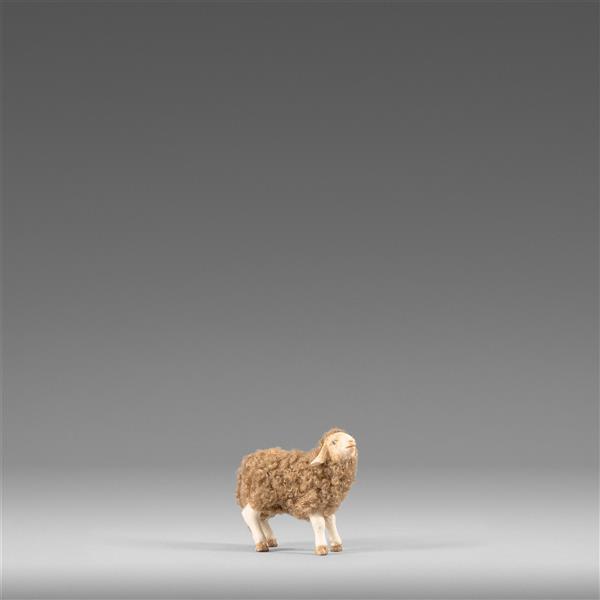 Lamm mit Wolle braun - color