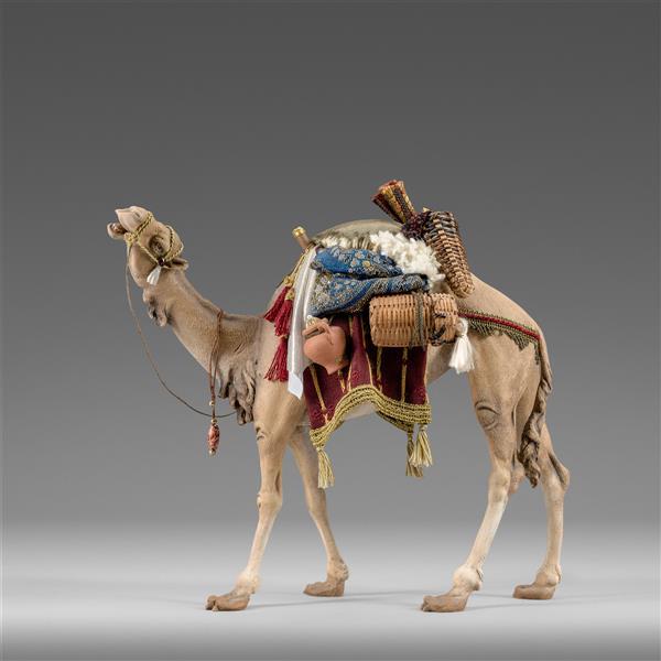 Dromedary head h. for King - color