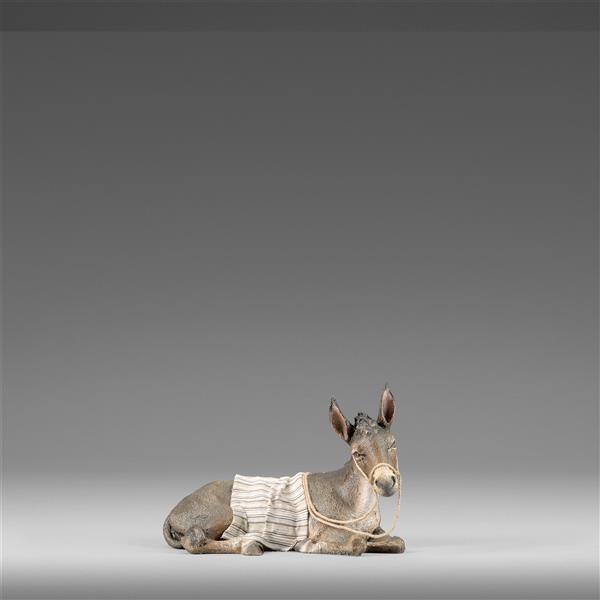 Donkey resting with blanket - color