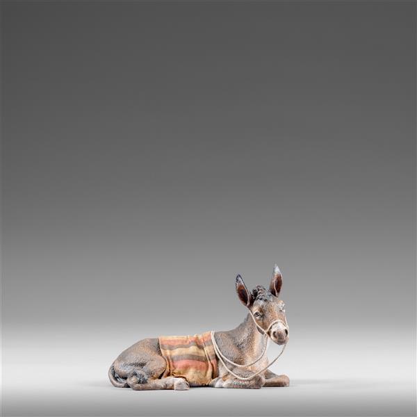 Donkey resting with blanket - color
