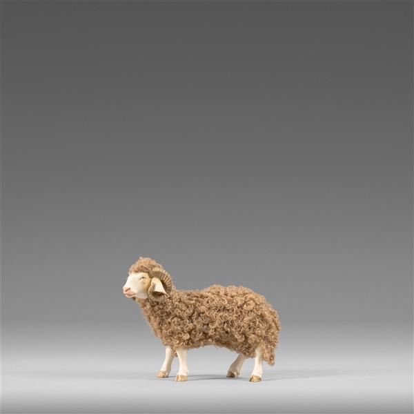 Ram with wool brown - color