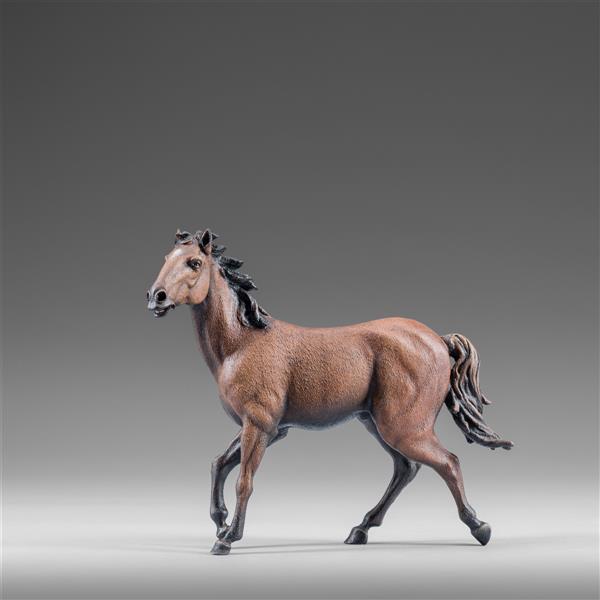 Cavallo marrone - colorato