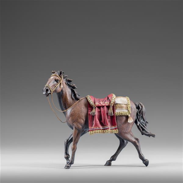 Cavallo addobato - colorato