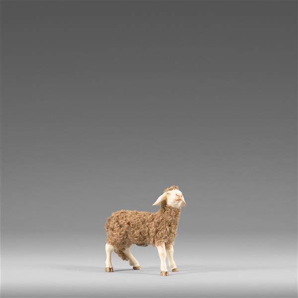 Pecora con lana marrone - colorato